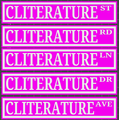 Cliterature Bookshelf Street Signs Bookcase Sign