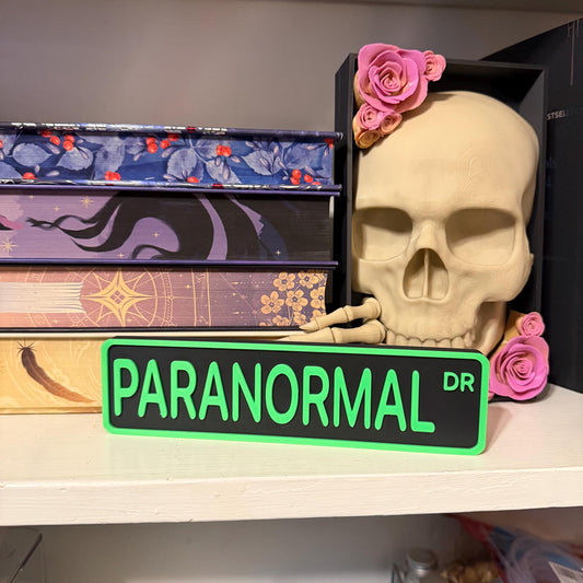 Paranormal Dr Street Sign Shelf Sitter | Supernatural Bookshelf Decor | Bookish Desk Nameplate